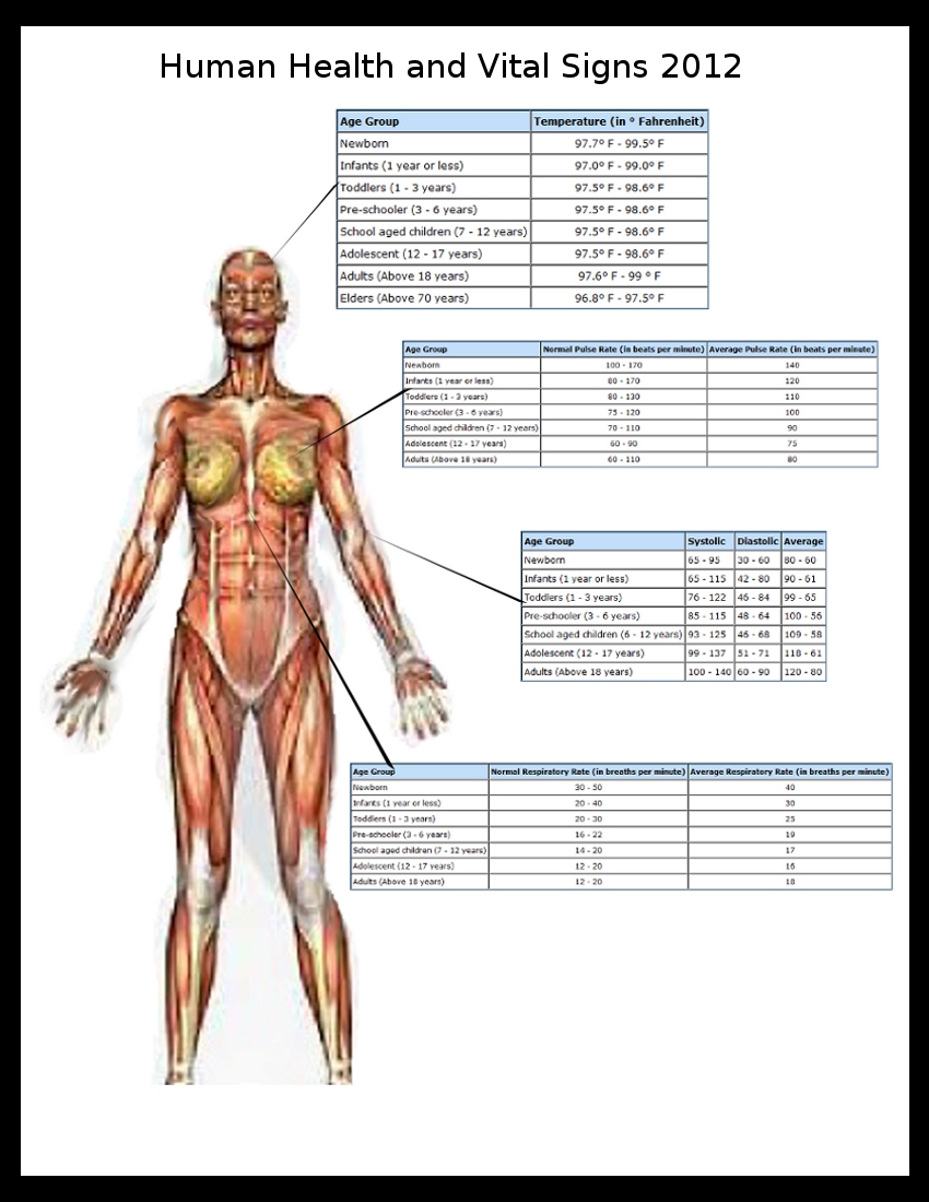 BODY